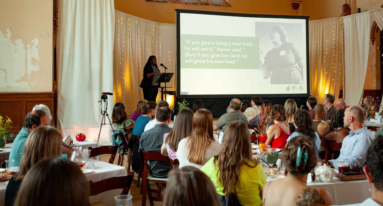 Photo of Fran speaking at a conference with an audience