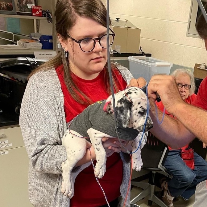 Alexandra Mabley, Second year student in the Audiology program, does a hearing exam on a puppy. 